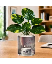 Artificial Tree Ceramic Photo Pot With White Stones 3x4 Inch (F166499)