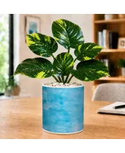 Artificial Tree Ceramic Photo Pot With White Stones 3x4 Inch (F166503)