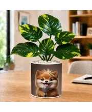 Artificial Tree Ceramic Photo Pot With White Stones 3x4 Inch (F166505)