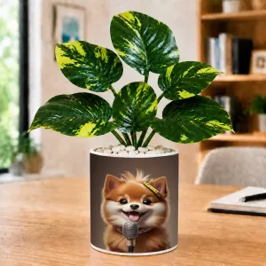 Artificial Tree Ceramic Photo Pot With White Stones 3x4 Inch (F166505) Artificial Tree Ceramic Photo Pot With White Stones 3x4 Inch (F166505)