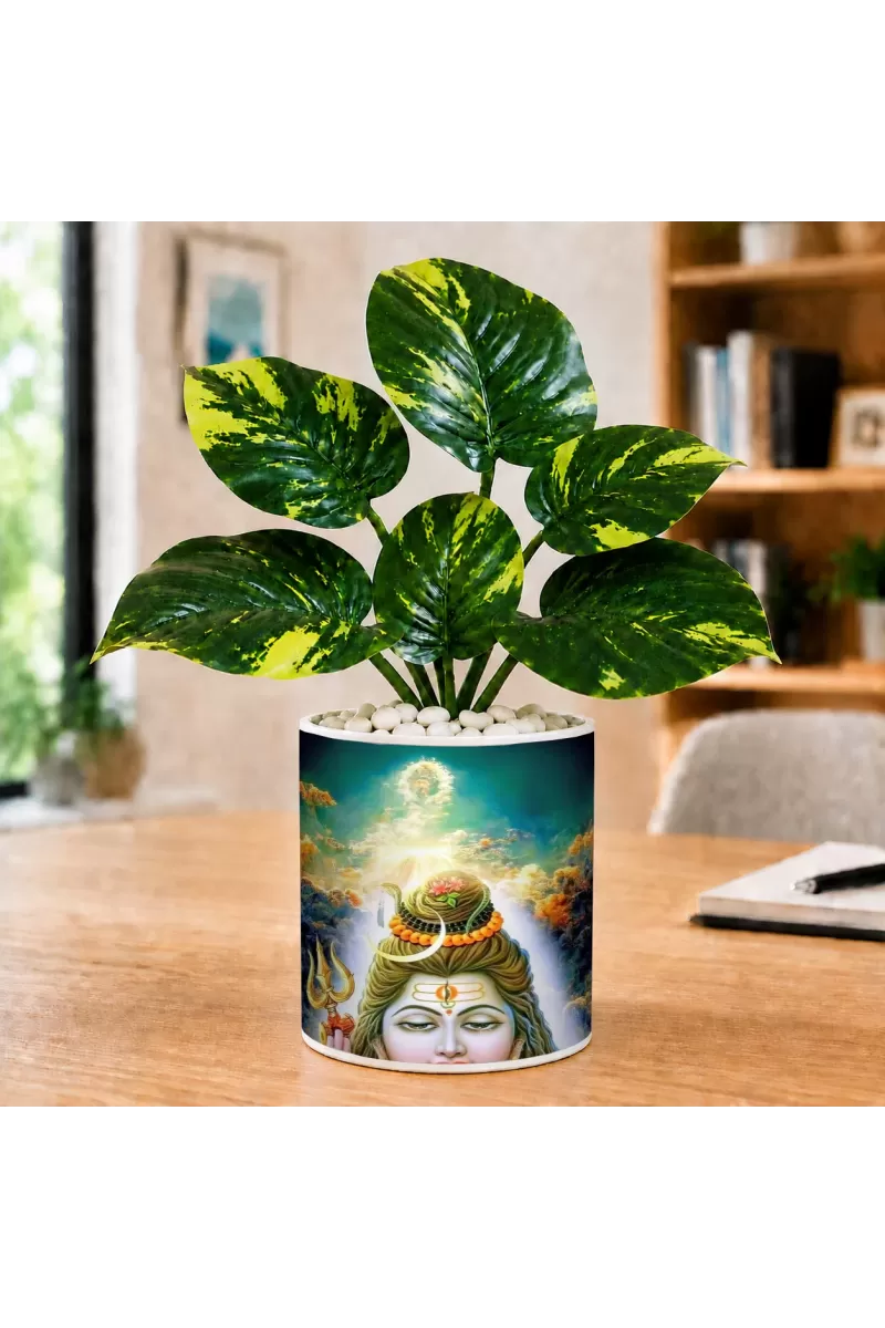 Artificial Tree Ceramic Photo Pot With White Stones 3x4 Inch (F166506)