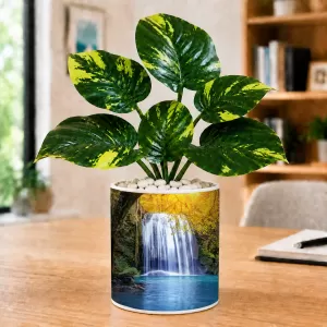 Artificial Tree Ceramic Photo Pot With White Stones 3x4 Inch (F166516) Artificial Tree Ceramic Photo Pot With White Stones 3x4 Inch (F166516)