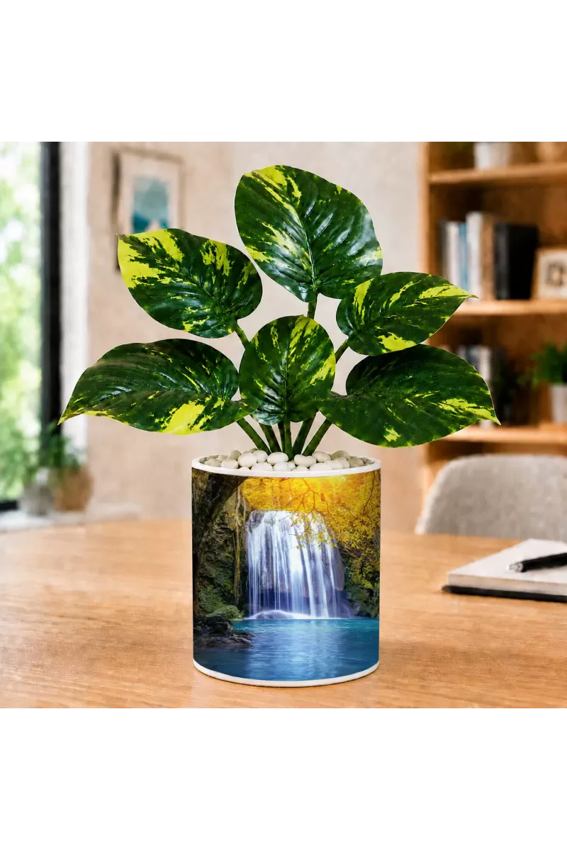 Artificial Tree Ceramic Photo Pot With White Stones 3x4 Inch (F166516)