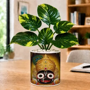 Artificial Tree Ceramic Photo Pot With White Stones 3x4 Inch (F166533)