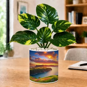 Artificial Tree Ceramic Photo Pot With White Stones 3x4 Inch (F166534) Artificial Tree Ceramic Photo Pot With White Stones 3x4 Inch (F166534)