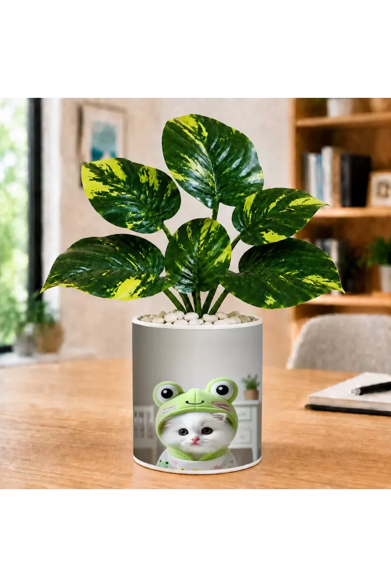 Artificial Tree Ceramic Photo Pot With White Stones 3x4 Inch (F166540)