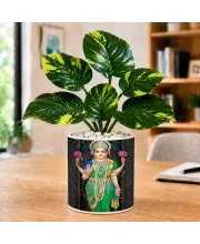Artificial Tree Ceramic Photo Pot With White Stones 3x4 Inch (F166541)