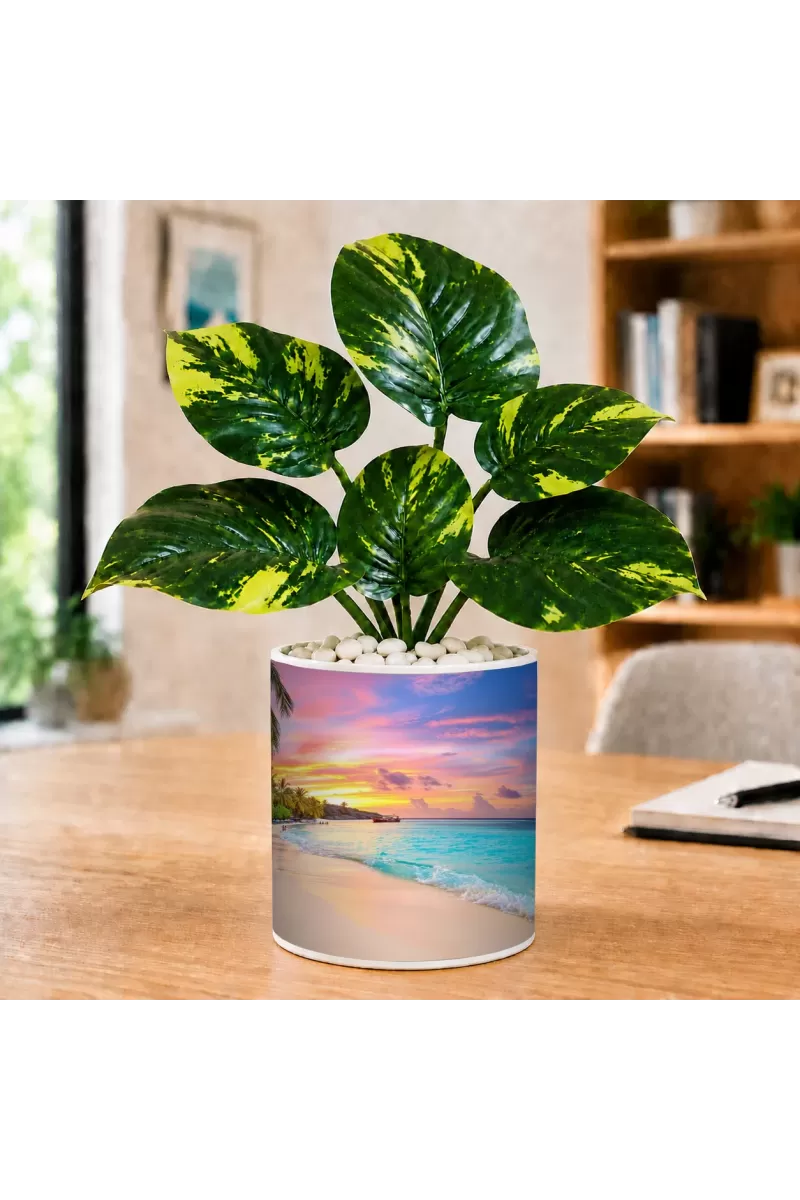 Artificial Tree Ceramic Photo Pot With White Stones 3x4 Inch (F166565)
