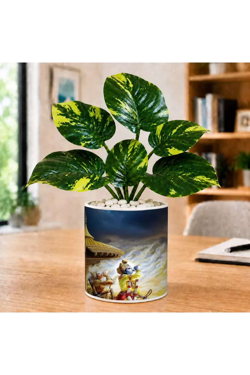 Artificial Tree Ceramic Photo Pot With White Stones 3x4 Inch (F166581)