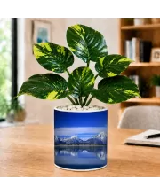 Artificial Tree Ceramic Photo Pot With White Stones 3x4 Inch (F166590)