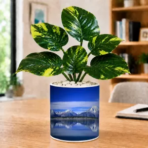 Artificial Tree Ceramic Photo Pot With White Stones 3x4 Inch (F166590)