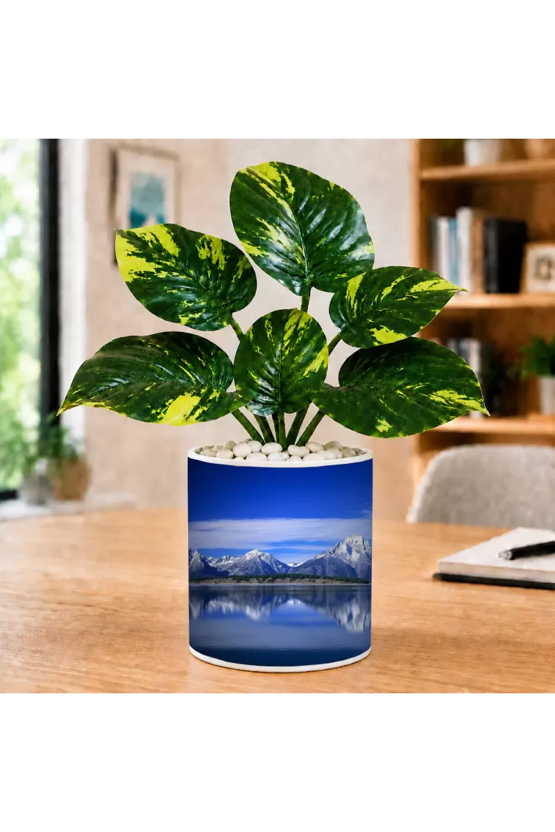 Artificial Tree Ceramic Photo Pot With White Stones 3x4 Inch (F166590)