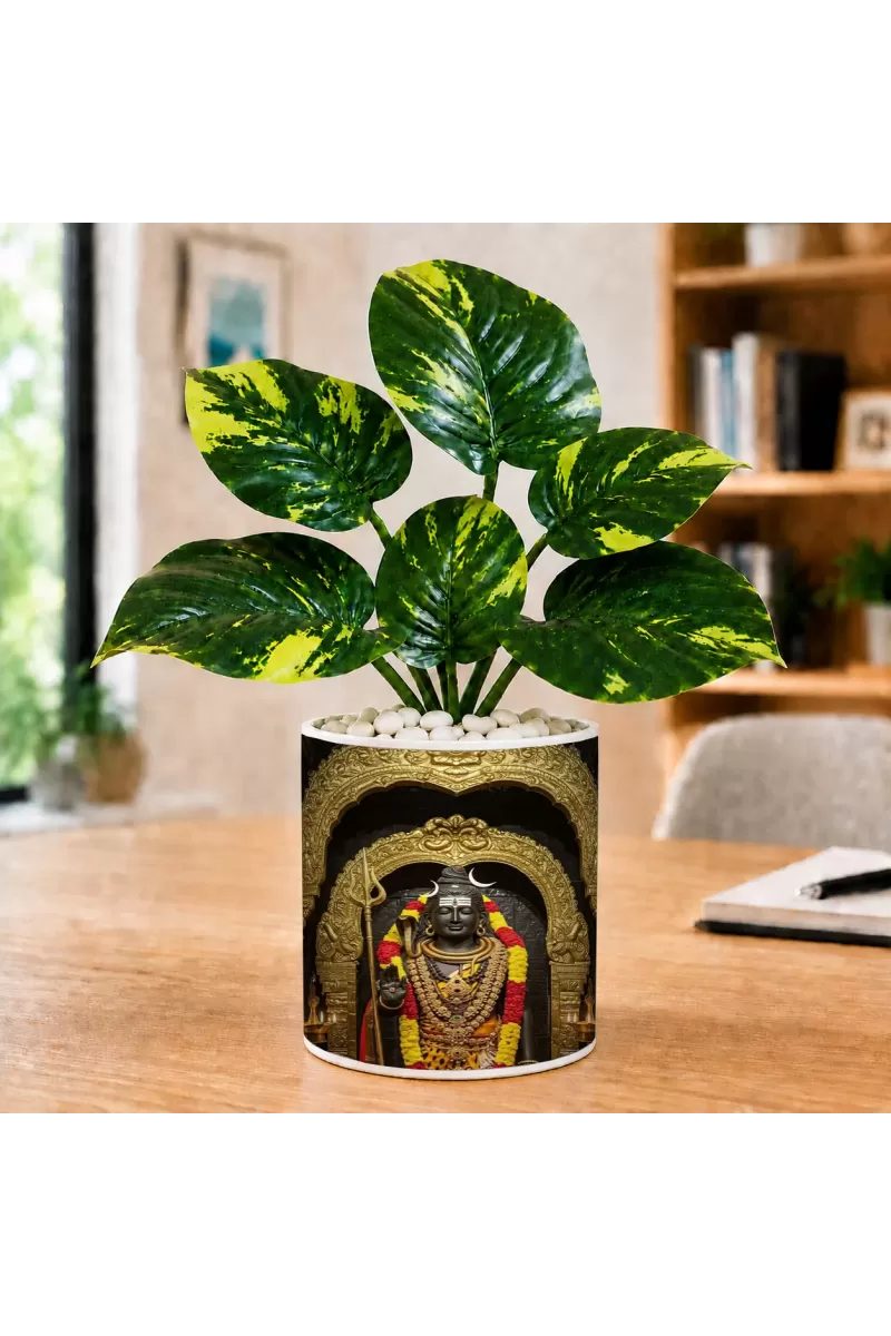 Artificial Tree Ceramic Photo Pot With White Stones 3x4 Inch (F166596)