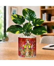 Artificial Tree Ceramic Photo Pot With White Stones 3x4 Inch (F166597)