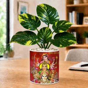 Artificial Tree Ceramic Photo Pot With White Stones 3x4 Inch (F166597)
