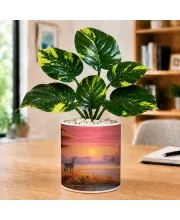 Artificial Tree Ceramic Photo Pot With White Stones 3x4 Inch (F166612)
