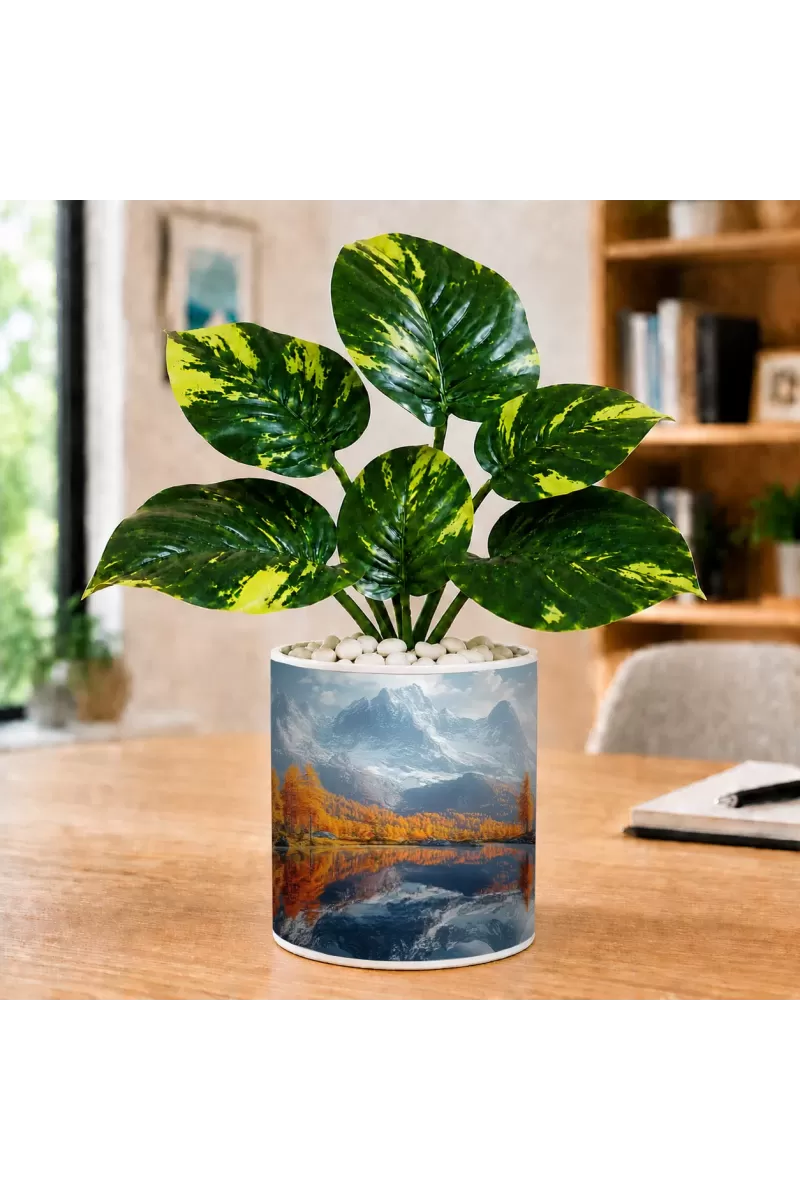 Artificial Tree Ceramic Photo Pot With White Stones 3x4 Inch (F166625)