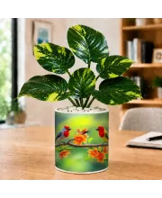 Artificial Tree Ceramic Photo Pot With White Stones 3x4 Inch (F166629)