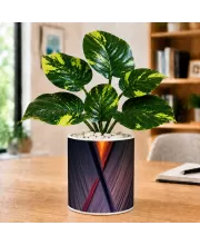 Artificial Tree Ceramic Photo Pot With White Stones 3x4 Inch (F166633)