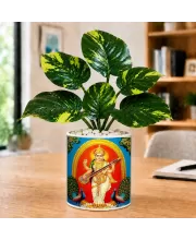 Artificial Tree Ceramic Photo Pot With White Stones 3x4 Inch (F166635)