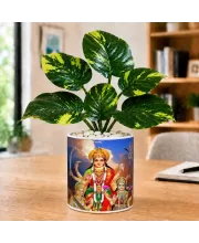 Artificial Tree Ceramic Photo Pot With White Stones 3x4 Inch (F166636)