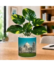 Artificial Tree Ceramic Photo Pot With White Stones 3x4 Inch (F166642)
