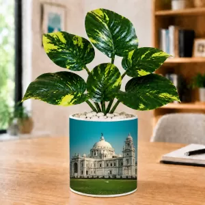Artificial Tree Ceramic Photo Pot With White Stones 3x4 Inch (F166642) Artificial Tree Ceramic Photo Pot With White Stones 3x4 Inch (F166642)