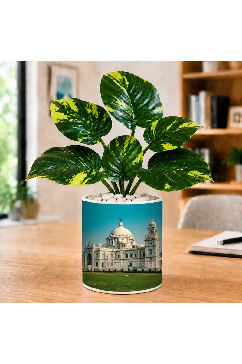 Artificial Tree Ceramic Photo Pot With White Stones 3x4 Inch (F166642)