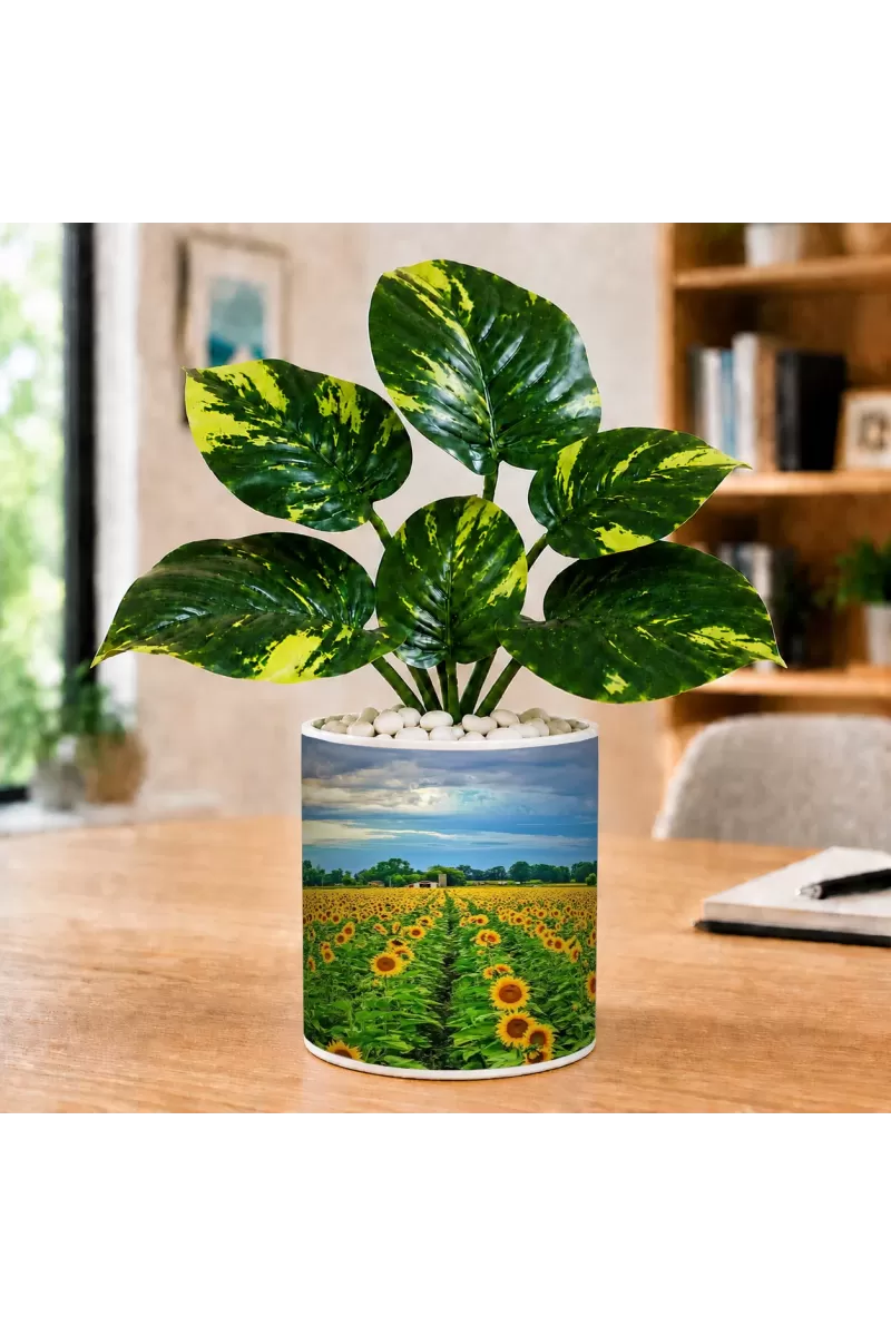Artificial Tree Ceramic Photo Pot With White Stones 3x4 Inch (F166643)