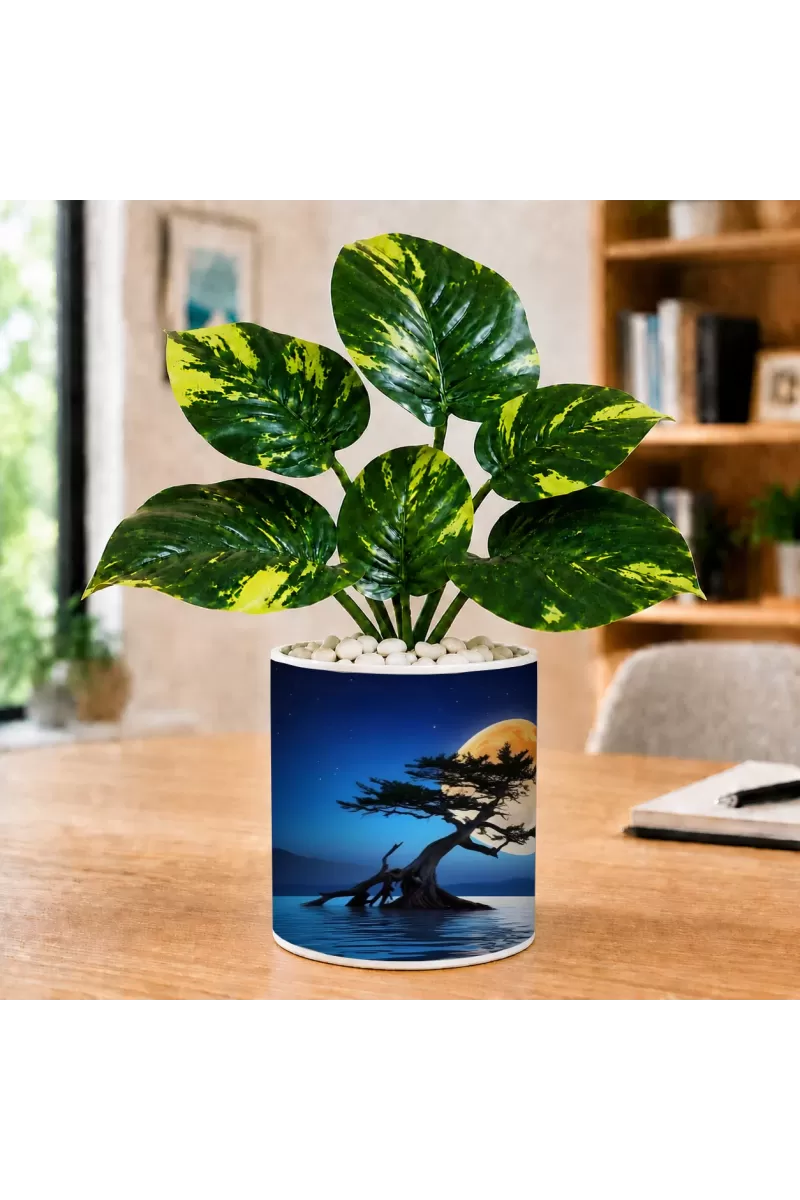 Artificial Tree Ceramic Photo Pot With White Stones 3x4 Inch (F166675)