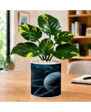 Artificial Tree Ceramic Photo Pot With White Stones 3x4 Inch (F166688)