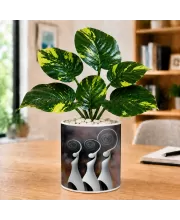 Artificial Tree Ceramic Photo Pot With White Stones 3x4 Inch (F166694)
