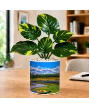 Artificial Tree Ceramic Photo Pot With White Stones 3x4 Inch (F166702)
