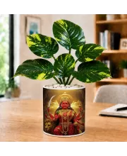 Artificial Tree Ceramic Photo Pot With White Stones 3x4 Inch (F166703)