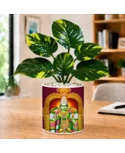 Artificial Tree Ceramic Photo Pot With White Stones 3x4 Inch (F166705)
