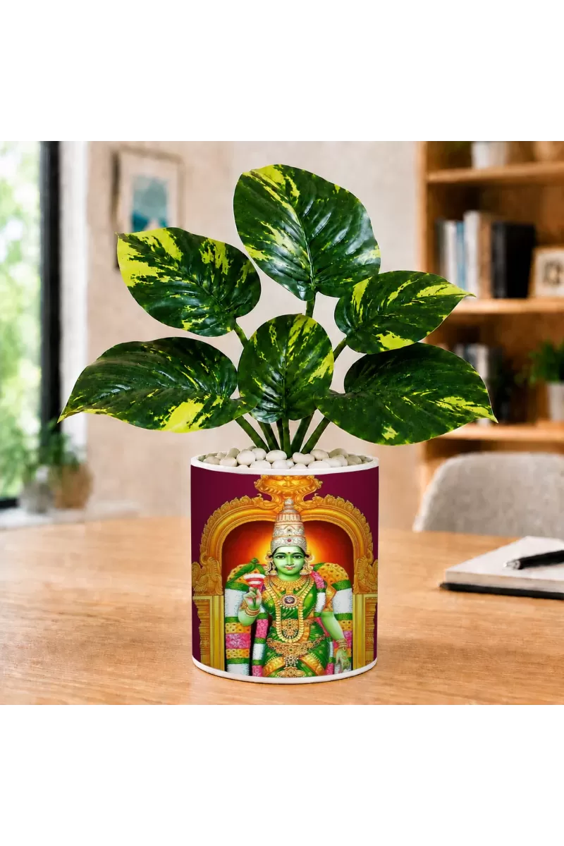 Artificial Tree Ceramic Photo Pot With White Stones 3x4 Inch (F166705)