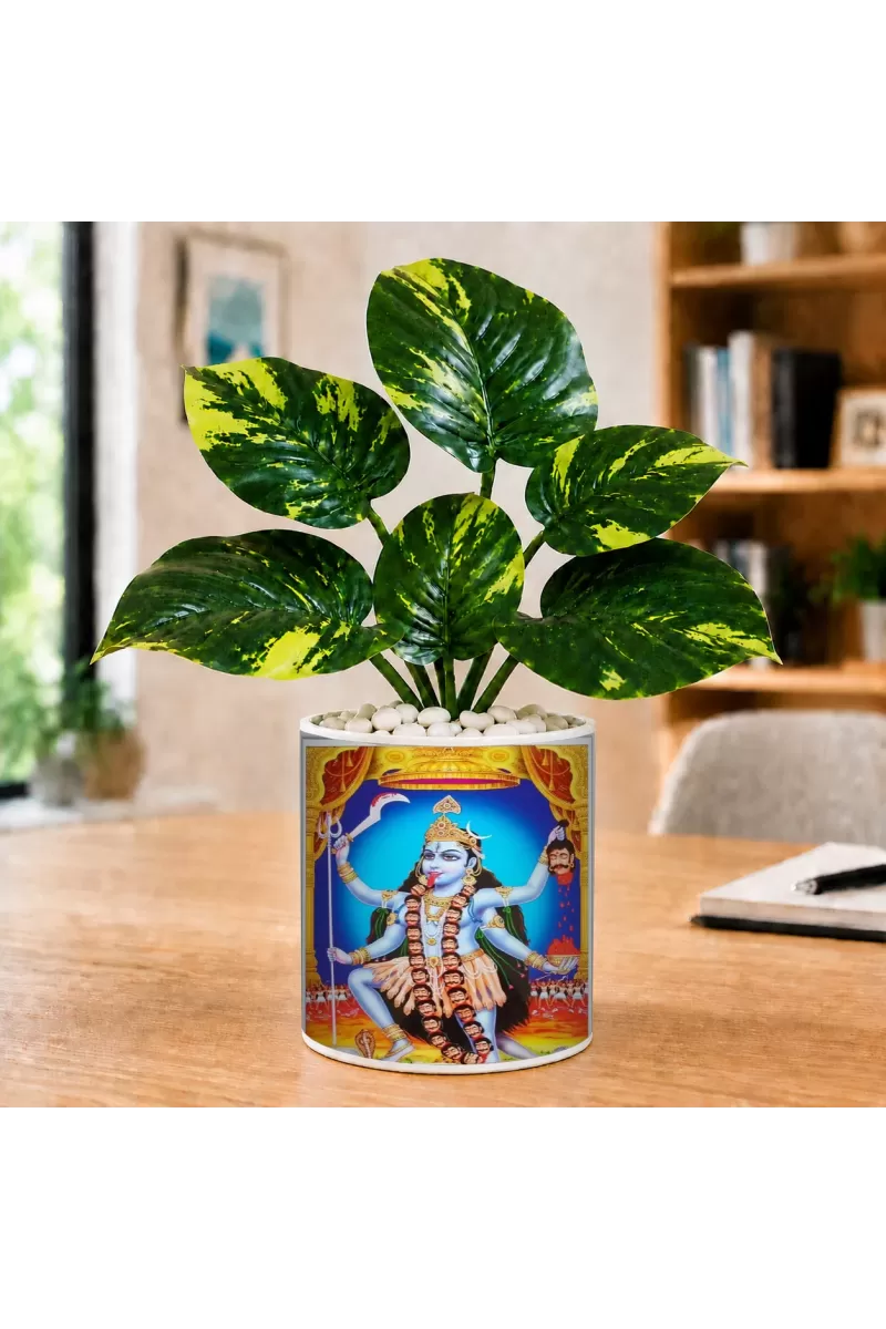 Artificial Tree Ceramic Photo Pot With White Stones 3x4 Inch (F166706)