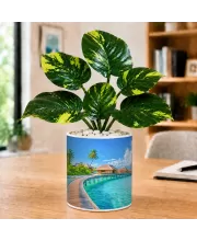Artificial Tree Ceramic Photo Pot With White Stones 3x4 Inch (F166718)