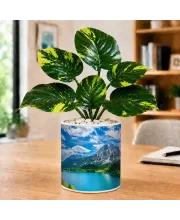Artificial Tree Ceramic Photo Pot With White Stones 3x4 Inch (F166721)