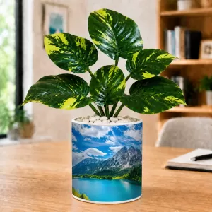 Artificial Tree Ceramic Photo Pot With White Stones 3x4 Inch (F166721)