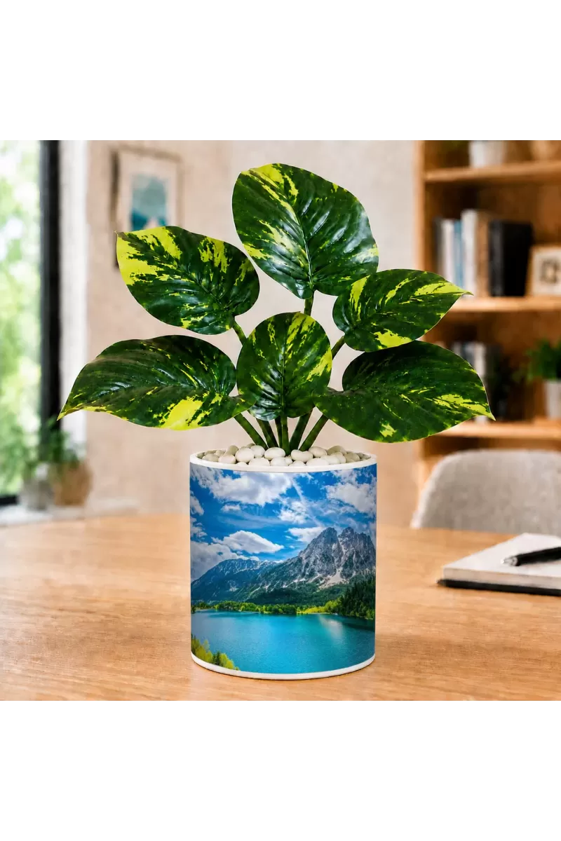 Artificial Tree Ceramic Photo Pot With White Stones 3x4 Inch (F166721)