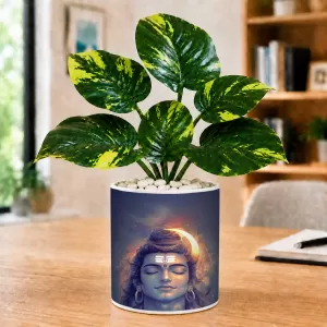 Artificial Tree Ceramic Photo Pot With White Stones 3x4 Inch (F166722)