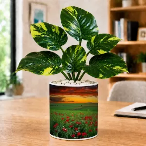 Artificial Tree Ceramic Photo Pot With White Stones 3x4 Inch (F166723)