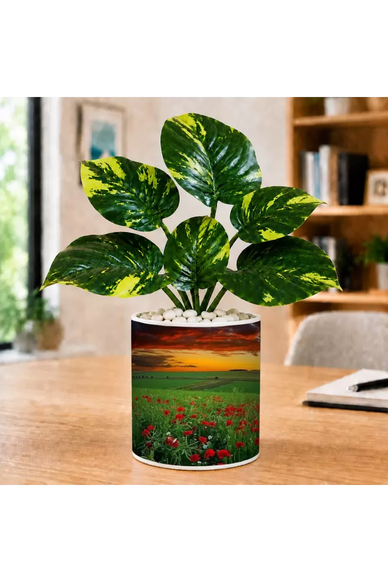 Artificial Tree Ceramic Photo Pot With White Stones 3x4 Inch (F166723)