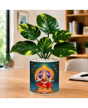 Artificial Tree Ceramic Photo Pot With White Stones 3x4 Inch (F166725)