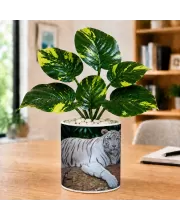 Artificial Tree Ceramic Photo Pot With White Stones 3x4 Inch (F166736)