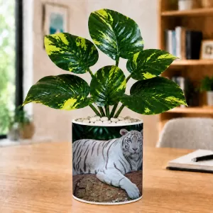 Artificial Tree Ceramic Photo Pot With White Stones 3x4 Inch (F166736) Artificial Tree Ceramic Photo Pot With White Stones 3x4 Inch (F166736)