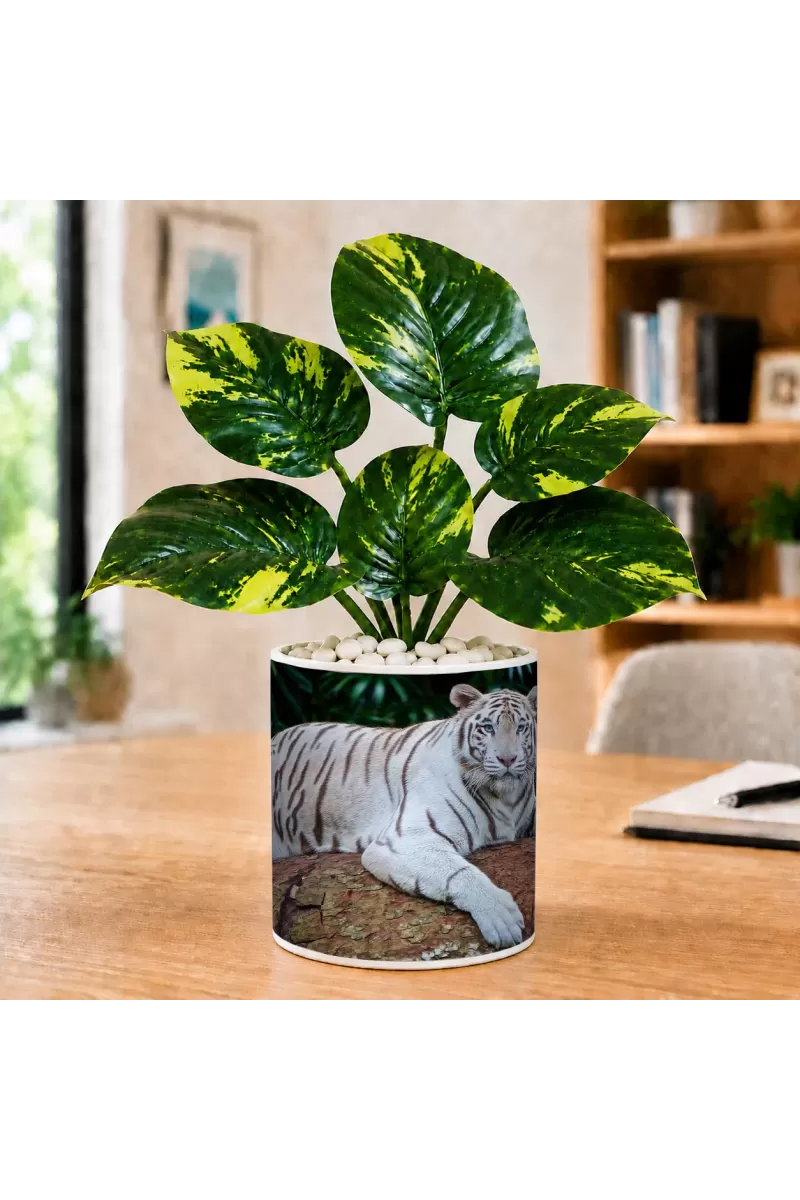 Artificial Tree Ceramic Photo Pot With White Stones 3x4 Inch (F166736)