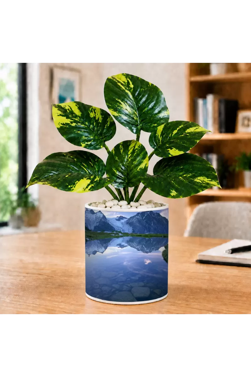 Artificial Tree Ceramic Photo Pot With White Stones 3x4 Inch (F166738)