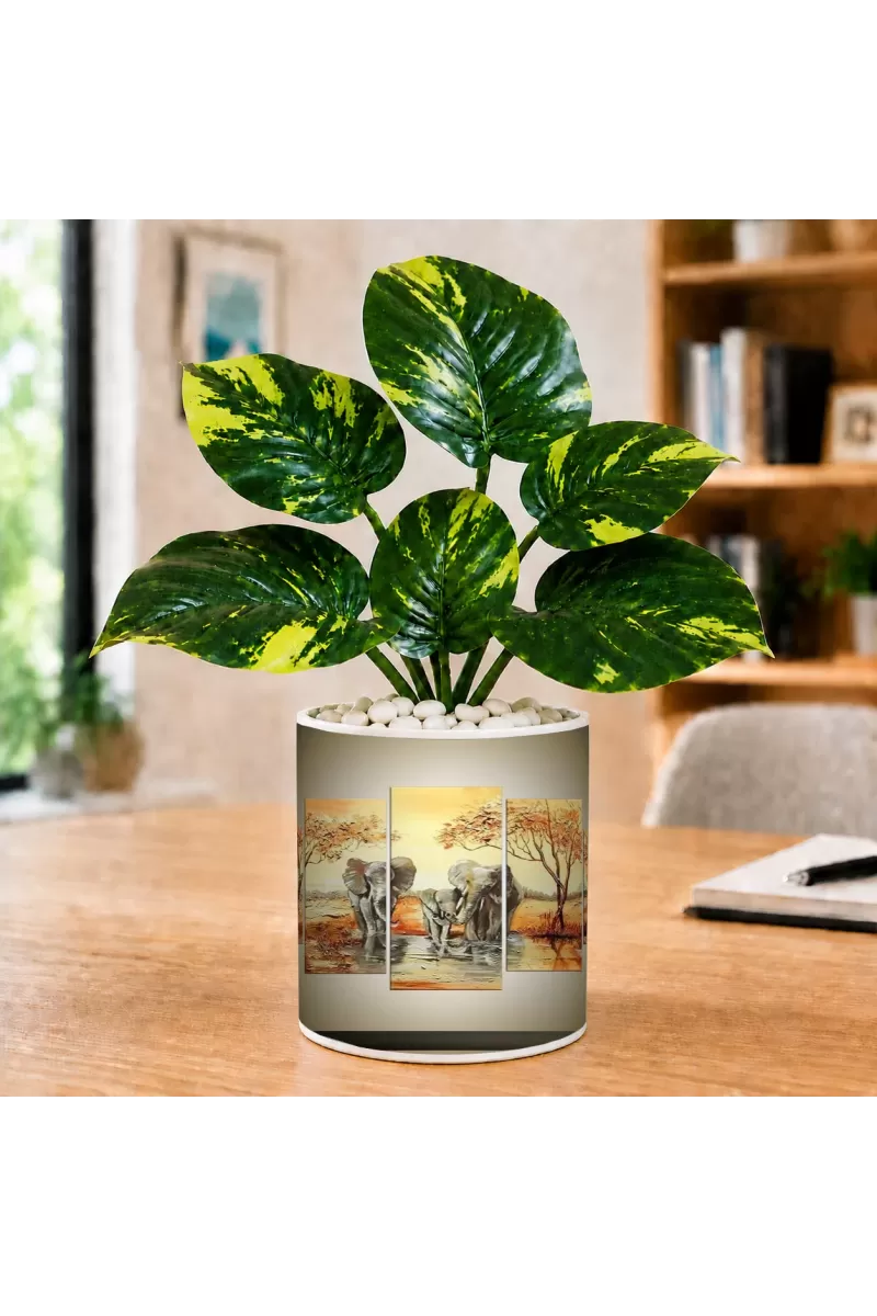 Artificial Tree Ceramic Photo Pot With White Stones 3x4 Inch (F166748)